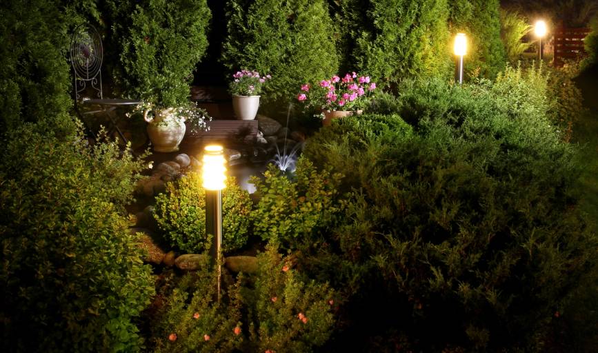 DDS Landscapes